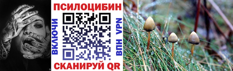 Галлюциногенные грибы Cubensis Белокуриха